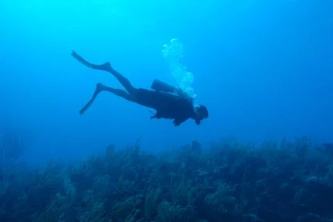 Diving in Puerto Rico Stock-Fotos