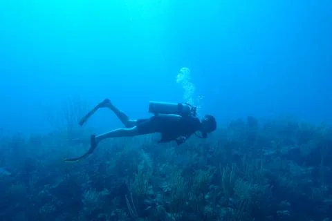 Diving in Puerto Rico Stock Photos