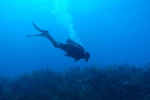 Diving in Puerto Rico Stock Photos