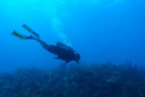 Diving in Puerto Rico Stock Photos