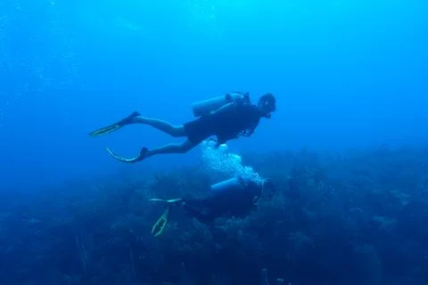 Diving in Puerto Rico Foto stock