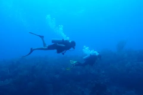 Diving in Puerto Rico Stock-Fotos