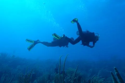 Diving in Puerto Rico Stock Photos