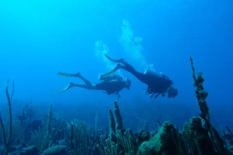 Diving in Puerto Rico Stock Photos