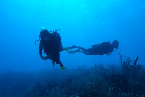 Diving in Puerto Rico Stock-Fotos