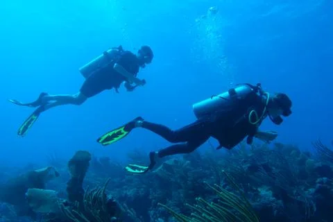 Diving in Puerto Rico Stock Photos