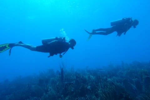 Diving in Puerto Rico 写真素材