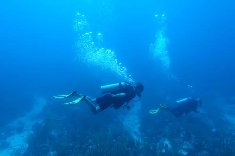 Diving in Puerto Rico Stock Photos
