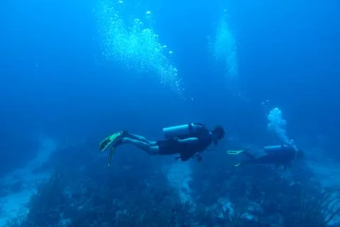 Diving in Puerto Rico Stock Photos