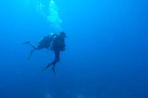 Diving in Puerto Rico 写真素材