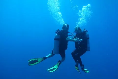 Diving in Puerto Rico Stock-Fotos