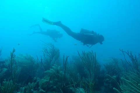 Diving in Puerto Rico Stock Photos