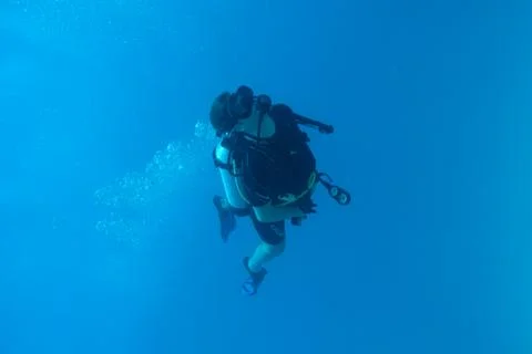 Diving in Puerto Rico Stock Photos