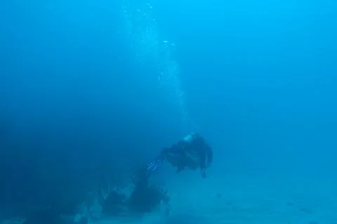 Diving in Puerto Rico Stock Photos