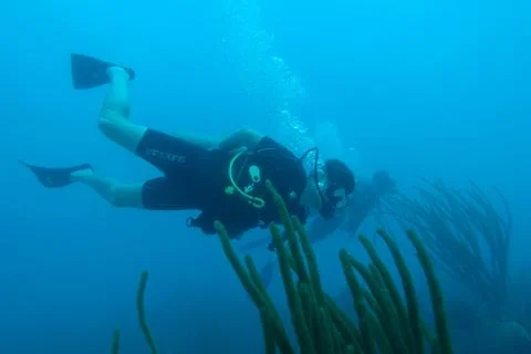 Diving in Puerto Rico Stock Photos