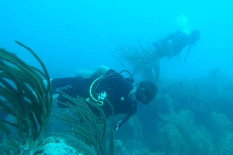 Diving in Puerto Rico Stock Photos