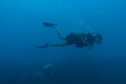 Diving in Puerto Rico Stock-Fotos