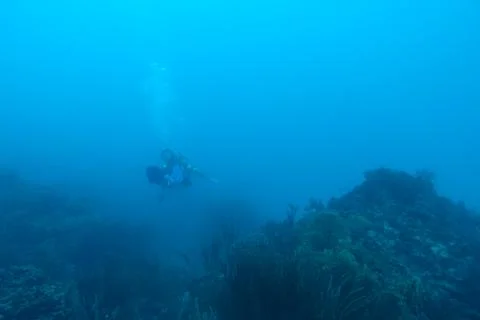 Diving in Puerto Rico 写真素材