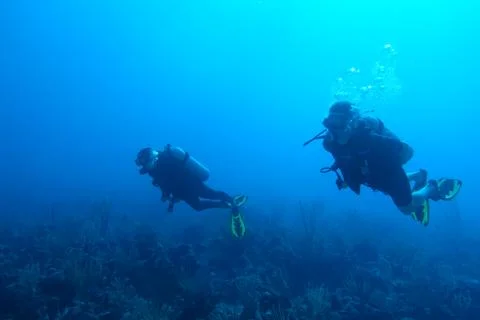 Diving in Puerto Rico Stock Photos