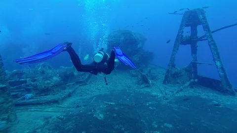 Diving in the red sea. 스톡 동영상 70495105