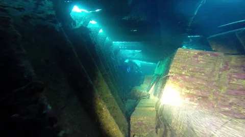 Diving in the red sea. Video stock 70505854