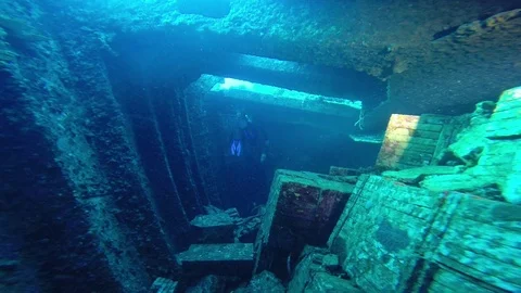 Diving in the red sea. Vídeo Stock 70512546