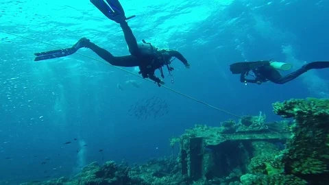 Diving in the red sea a group of divers submerged Vídeos de archivo 70473227