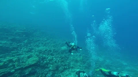 Diving in the red sea a group of divers submerged Stock Footage 70476010