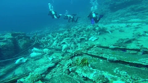 Diving in the red sea a group of divers submerged Stock Footage 70487072