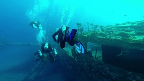 Diving in the red sea a group of divers submerged 스톡 동영상 70511072