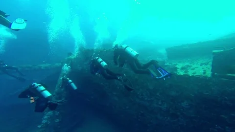 Diving in the red sea a group of divers submerged Stock Footage 70513440