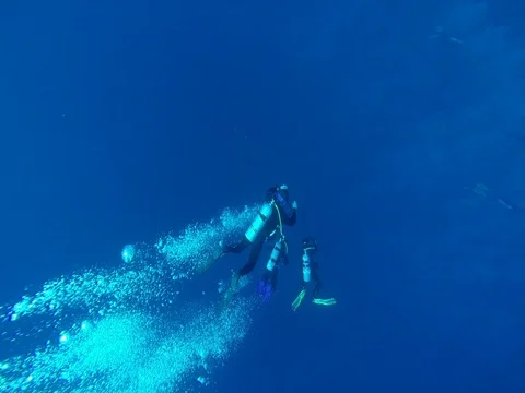 Diving in the red sea a group of divers submerged Vidéo 73511996