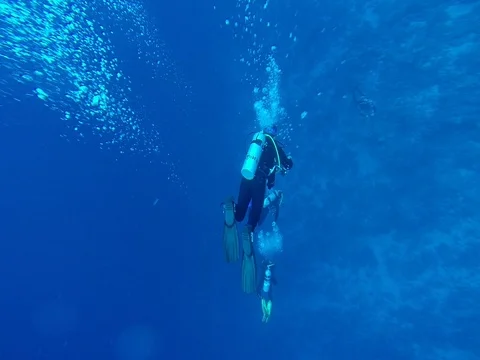 Diving in the red sea a group of divers submerged Stock Footage 73512050