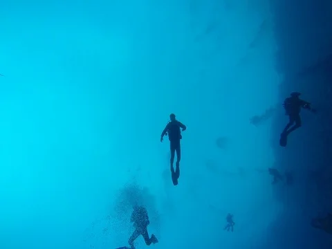 Diving in the red sea a group of divers submerged Vidéo 73512138