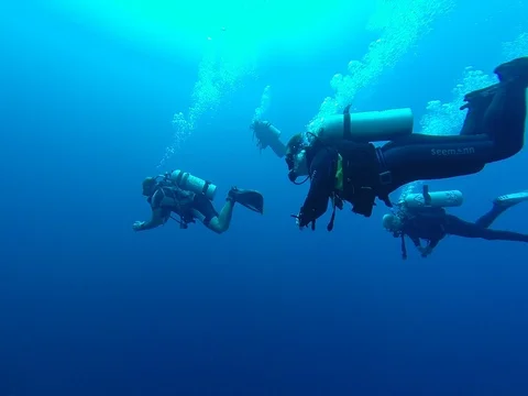 Diving in the red sea a group of divers submerged 動画素材 73512216