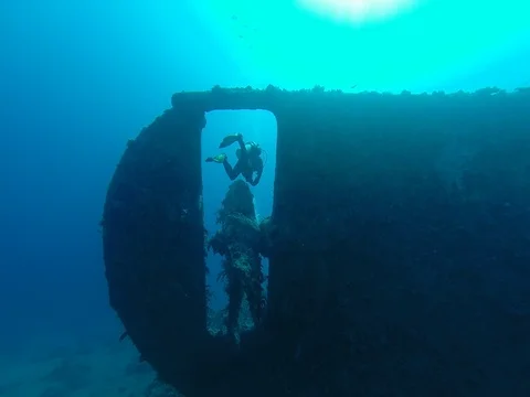 Diving in the red sea a group of divers submerged Vídeo Stock 73512498