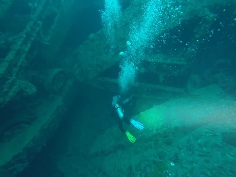 Diving in the red sea a group of divers submerged Vidéo 73514568