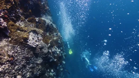 Diving the reef || Scuba Divers diving a reef wall Stock Footage 149965025