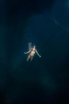 Diving with school of fish Foto stock