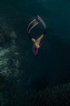 Diving with school of fish Stock Photos