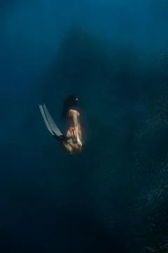 Diving with school of fish Stock Photos