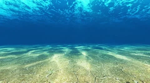 Diving in sea Stock Footage 12702029