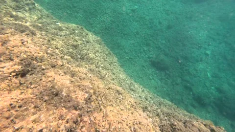 Diving in the sea, shot by underwater camera. Underwater rocky seafloo Stock Footage 323482207