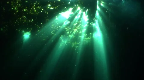 Diving - Sunbeams through the water 016 Stock Footage 47909662