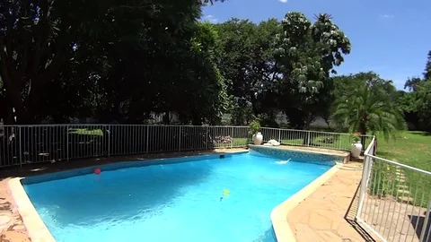 Diving in the swimmingpool Video stock 84660472