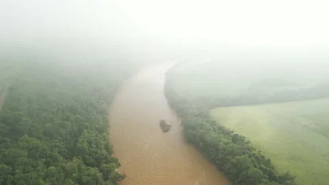 Diving through clouds revealing forest, river and green fields. Aerial Video stock 233218553
