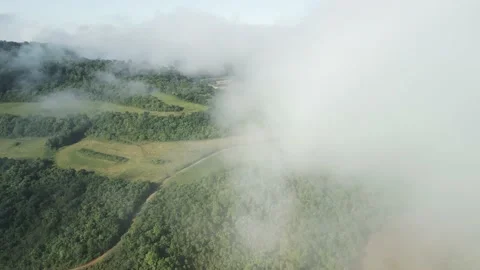 Diving through the clouds revealing forest and river below. Aerial. Stock Footage 233219618