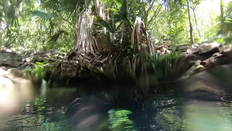 Diving Through Riviera Maya Cenotes Vídeos de archivo 245023087