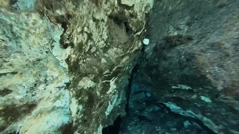 Diving Through Riviera Maya Cenotes Vídeos de archivo 245023341