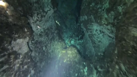Diving Through Riviera Maya Cenotes Vídeos de archivo 245023466